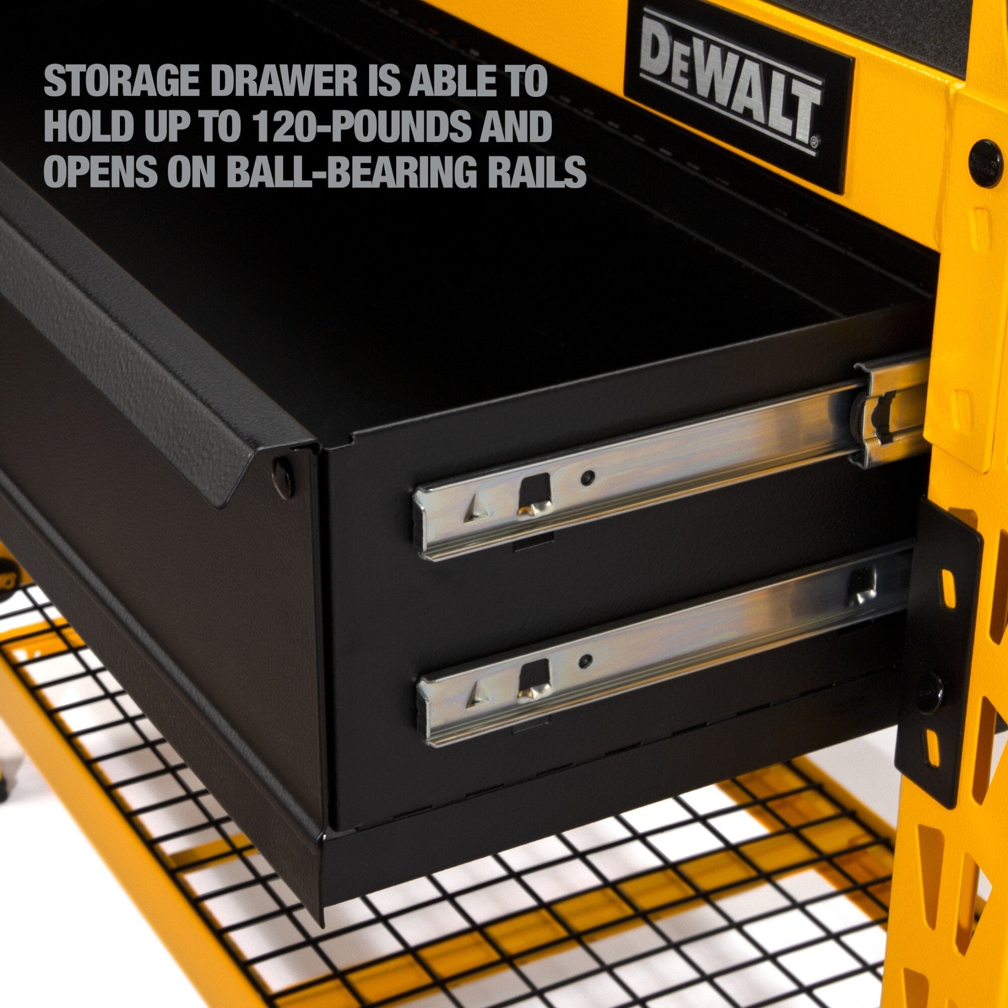 Dewalt-41631_03.jpg
